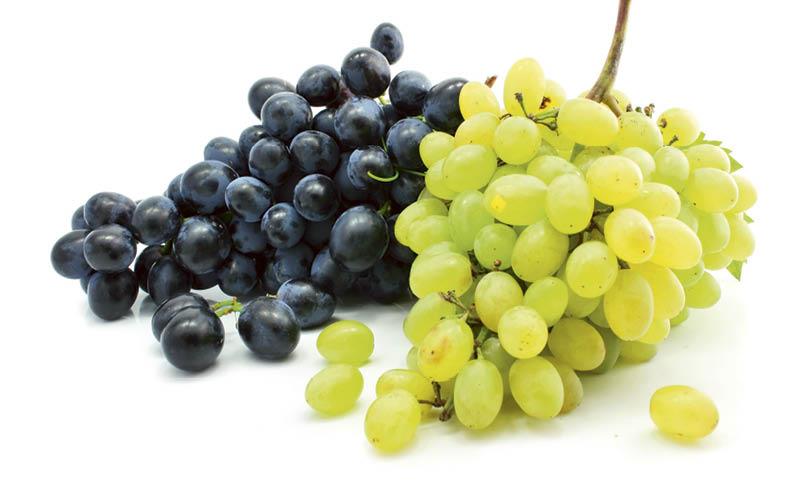 racimos uva
