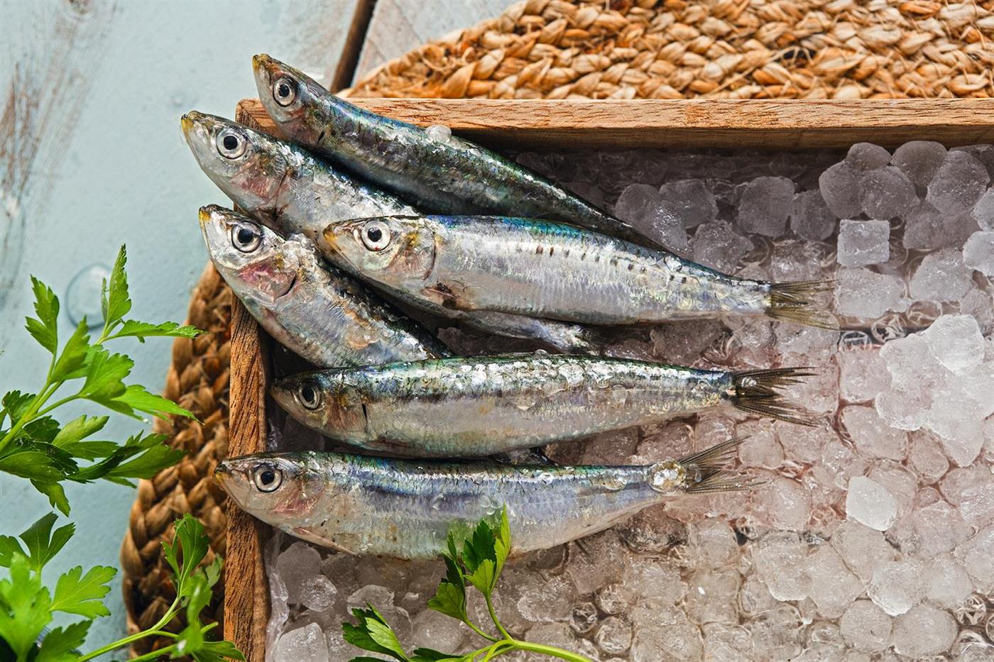 alimentos ricos en calcio no lacteos pescado sardinas