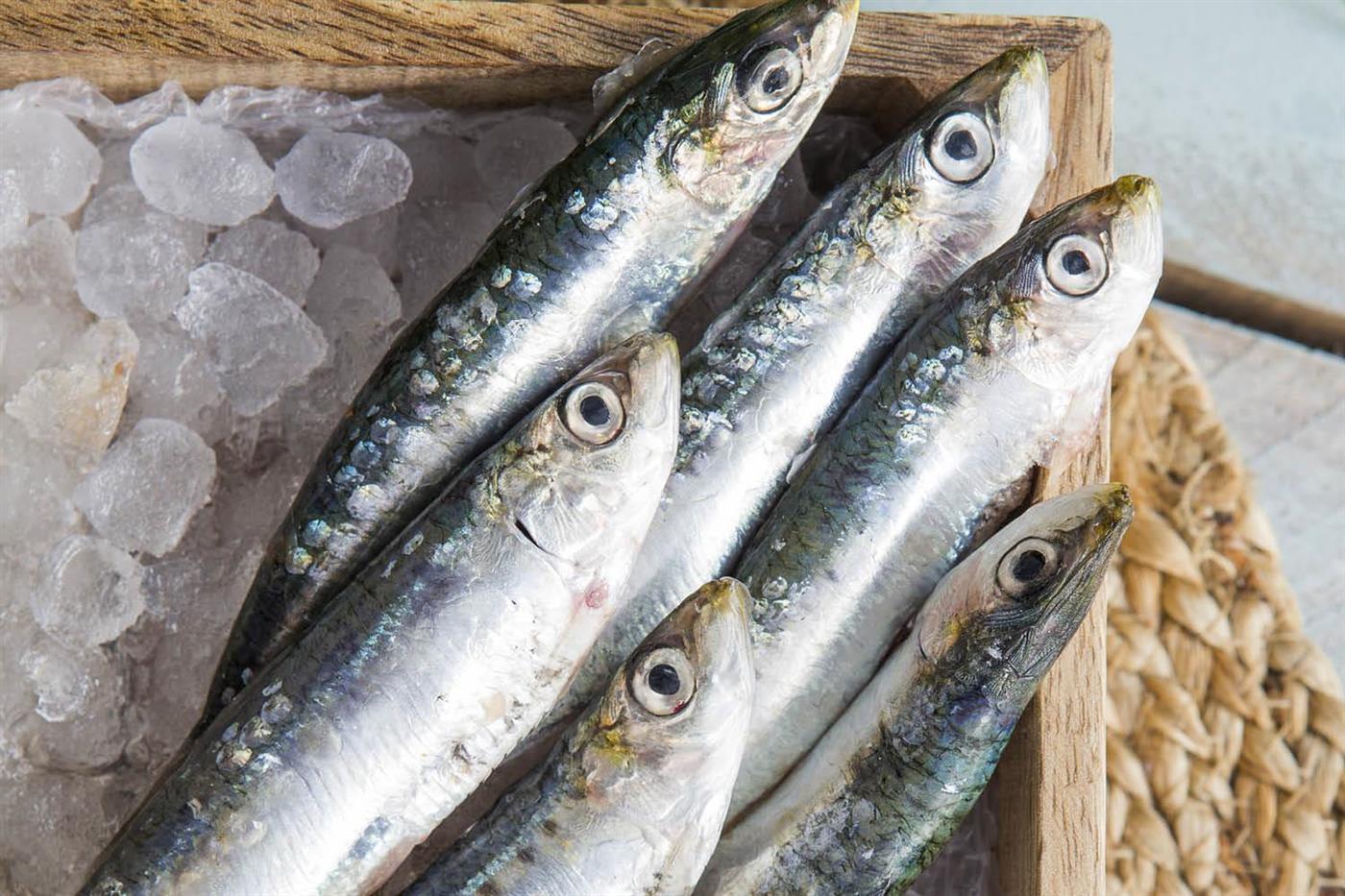 alimentos otoño adelgazar sardinas