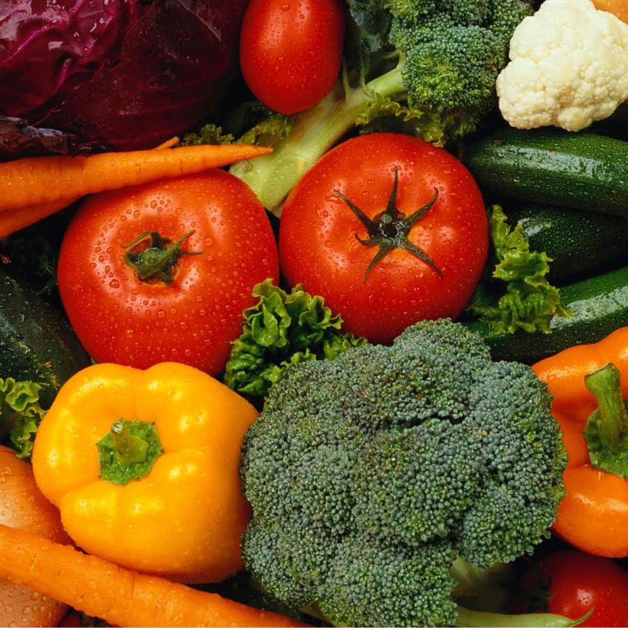 calendario hortalizas verduras temporada