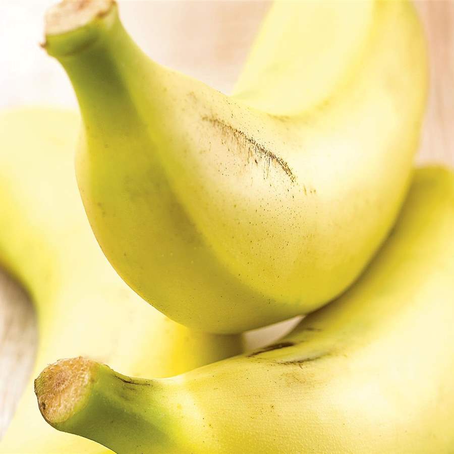 Plátano, logra que madure lentamente