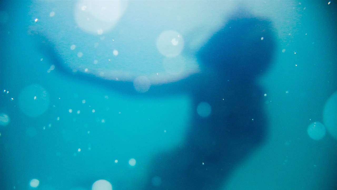 Primark tiene nueva colección de belleza y está inspirada en La Sirenita