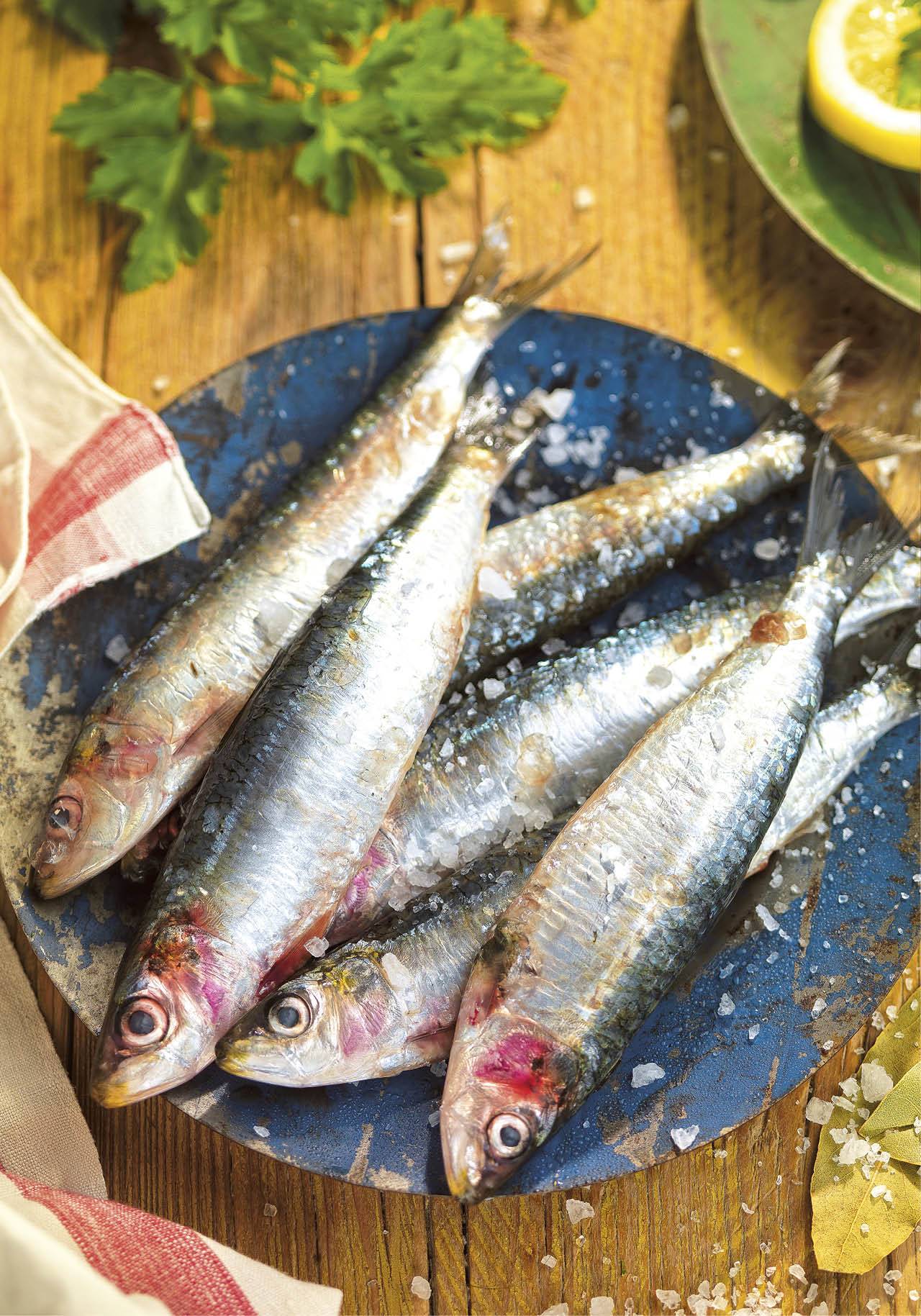 alimentos vitamina b12 sardinas