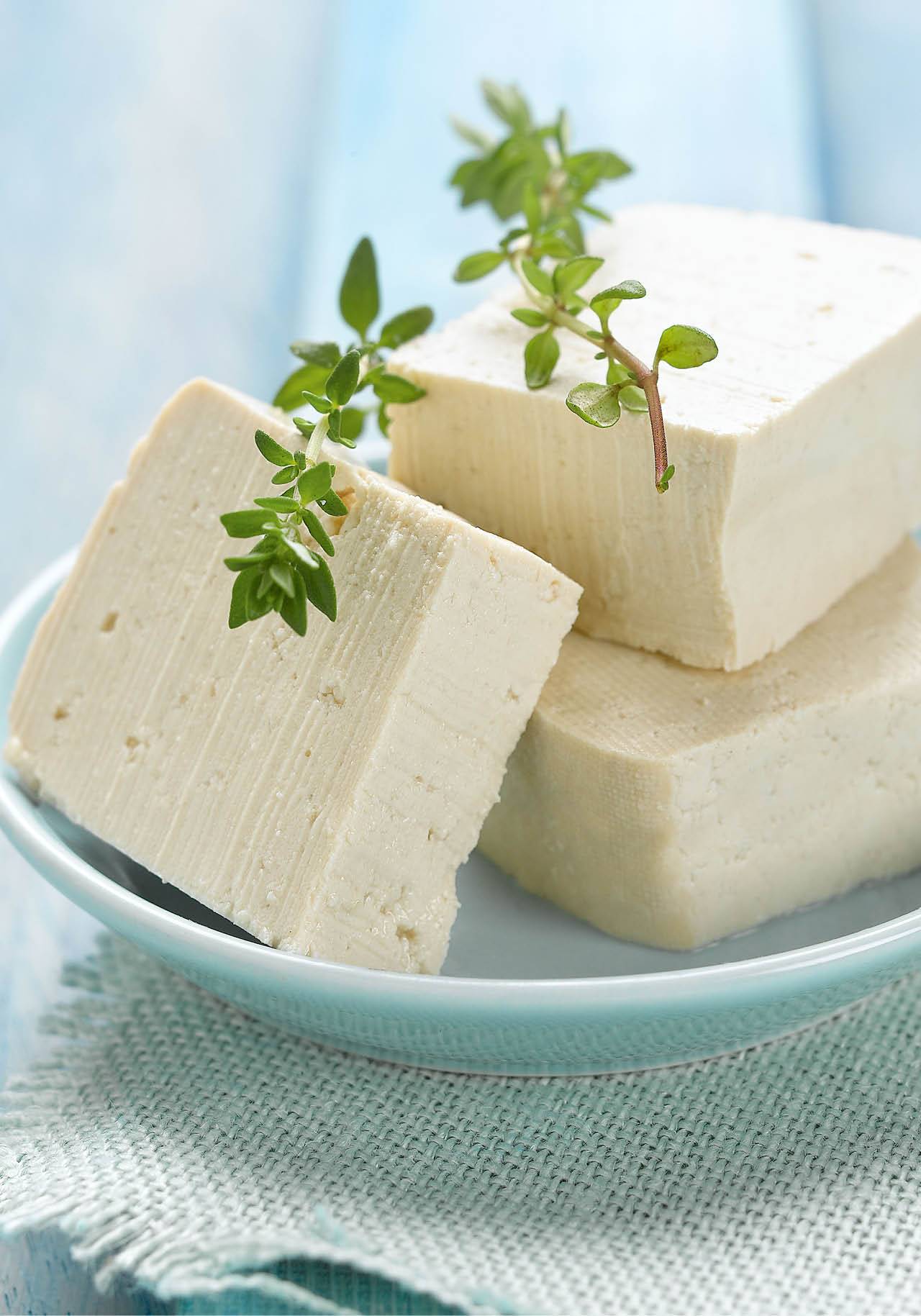 alimentos ricos en proteinas tofu