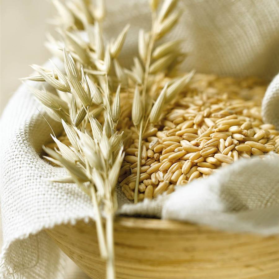 Cereales integrales: las opciones más saludables 
