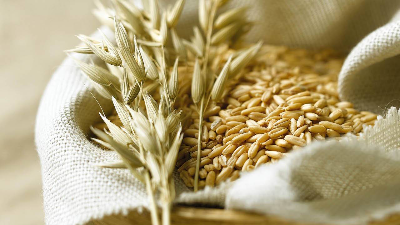 Cereales integrales: las opciones más saludables 