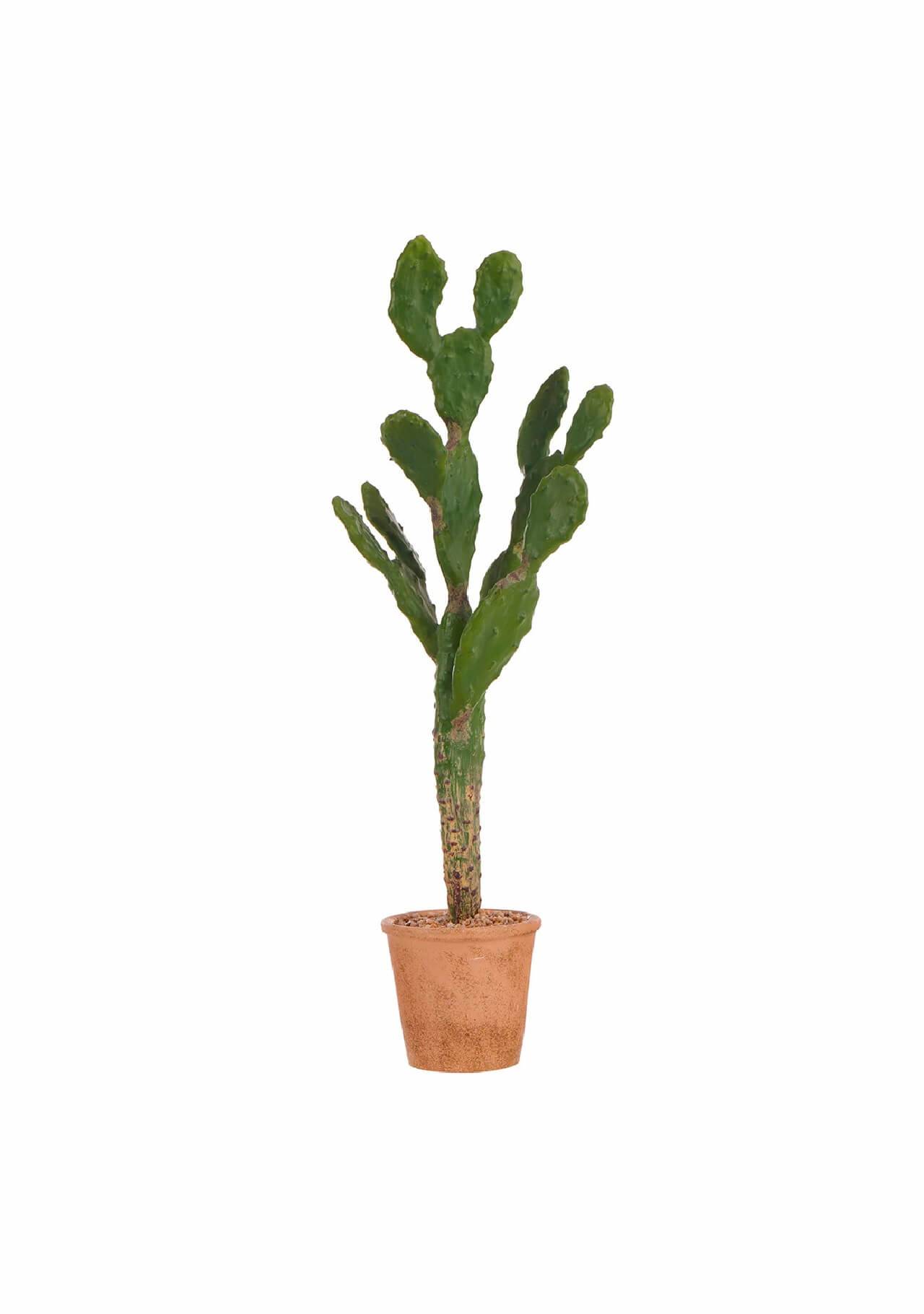plantas artificiales bonitas cactus plano El Corte Inglés, 49,00€