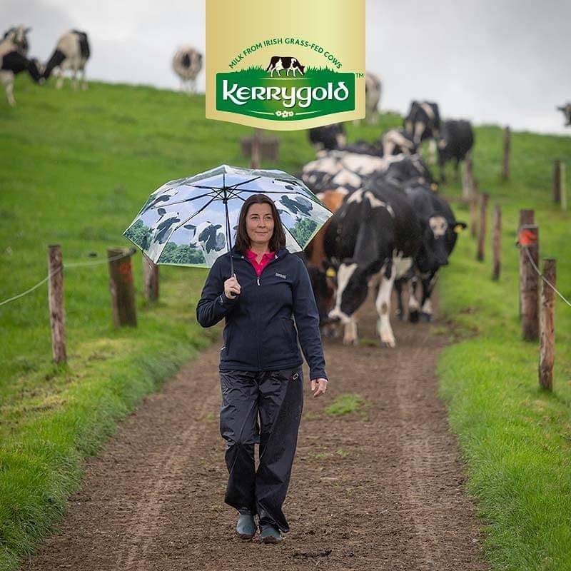 Mantequila Kerrygold