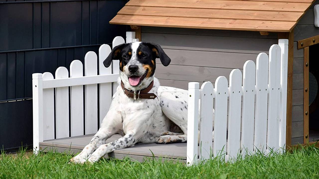 Las casetas de perro de madera más bonitas para tu jardín