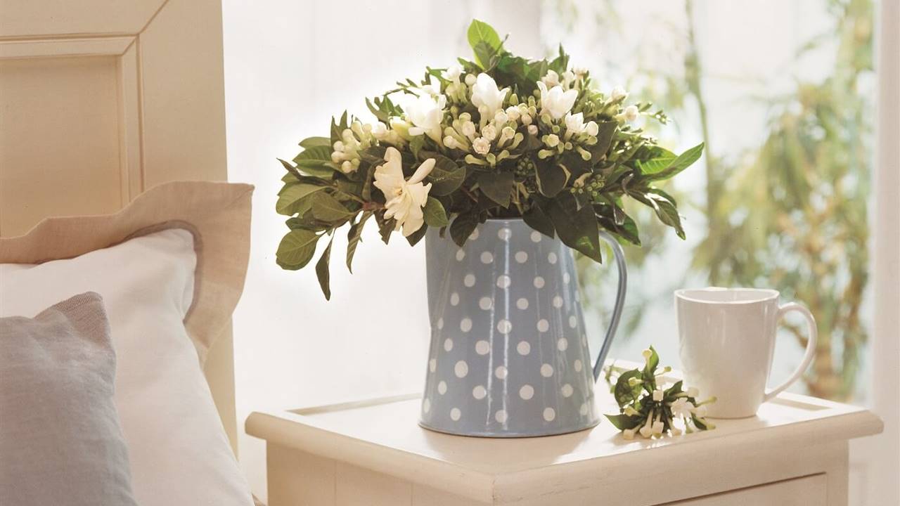 Gardenia: cuidados básicos para disfrutar de sus flores