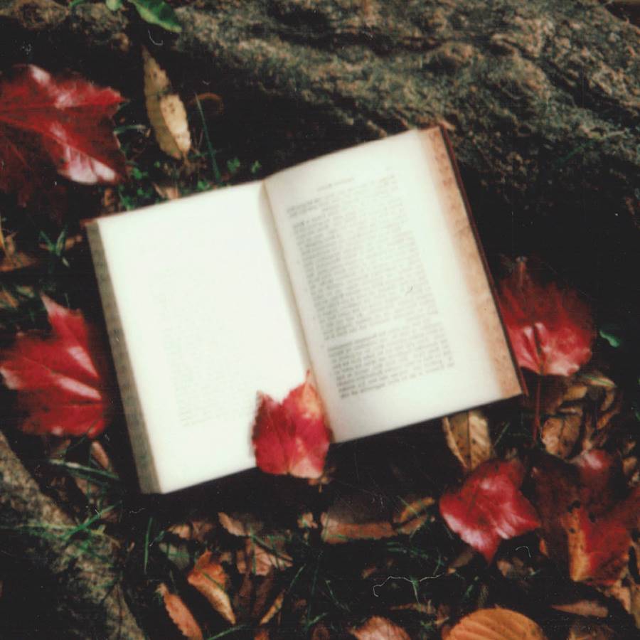 5 libros para ser más feliz este otoño