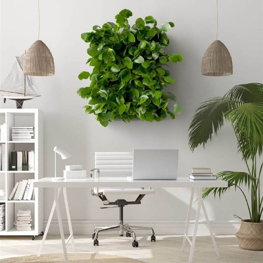 El método noruego Skogluft reduce el estrés y la ansiedad utilizando plantas de interior como decoración 