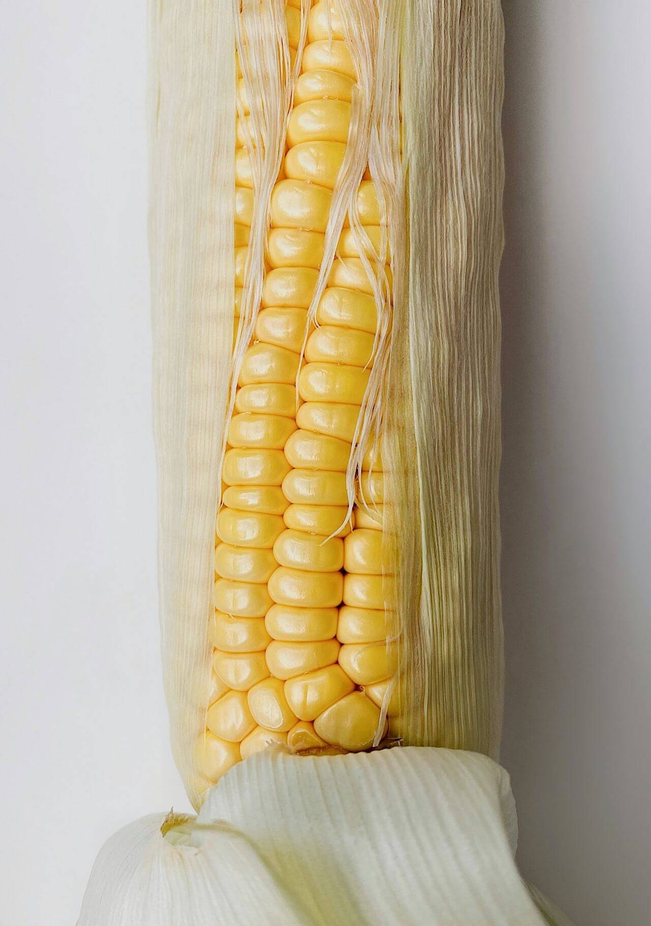 Alimentos nevera maíz
