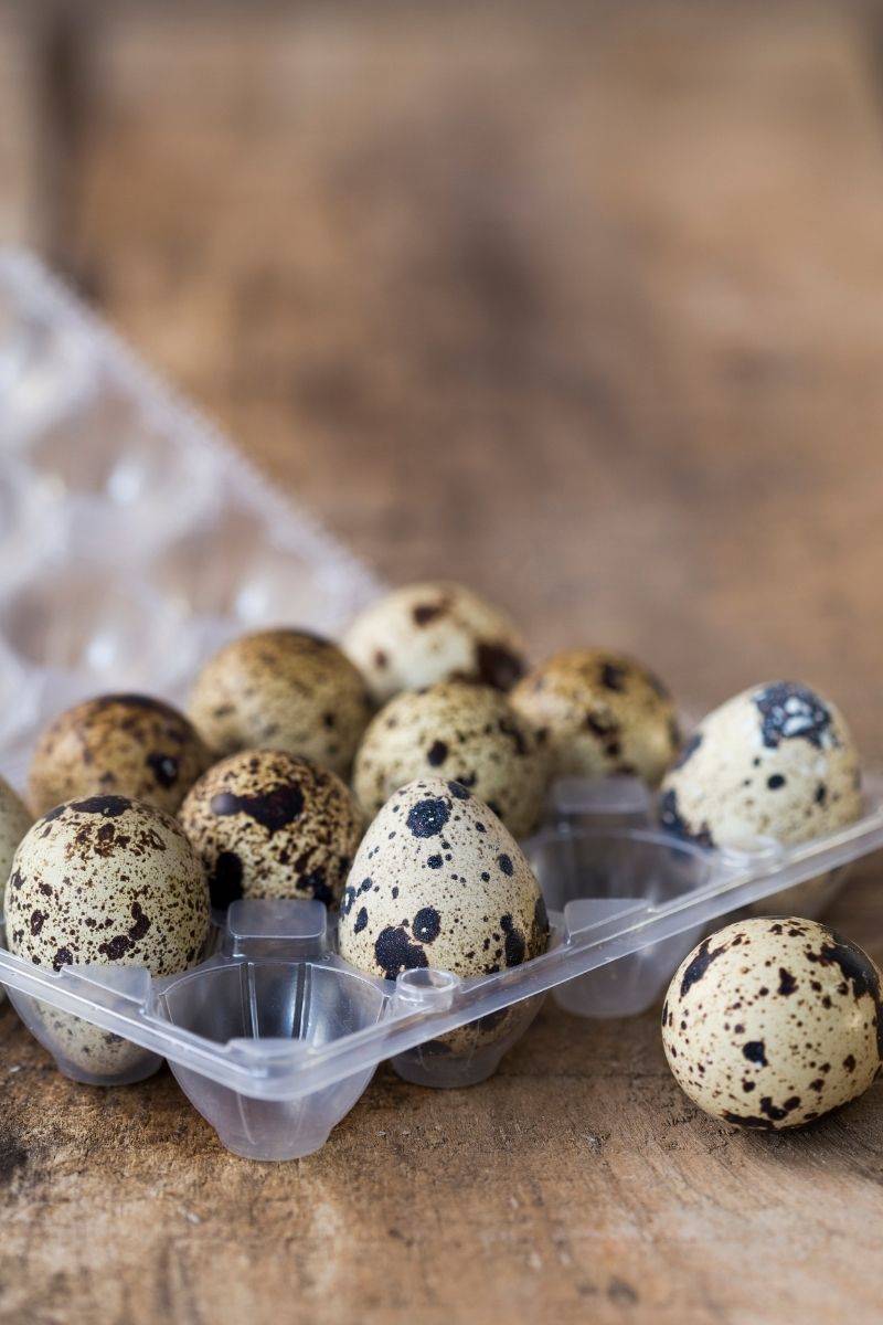 ¿Has probado los huevos de codorniz? Te conviene hacerlo