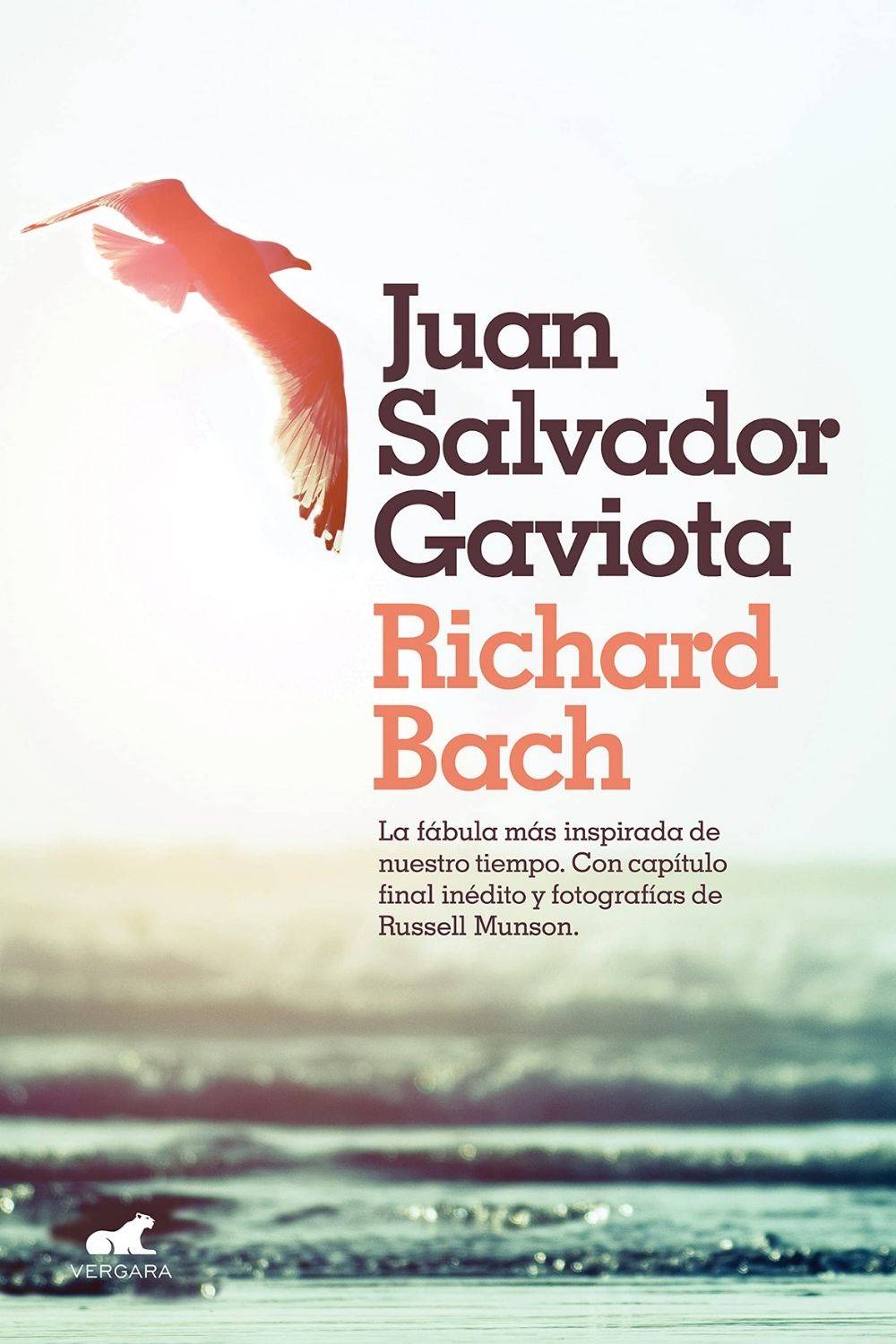 ‘Juan Salvador Gaviota’ de Richard Bach