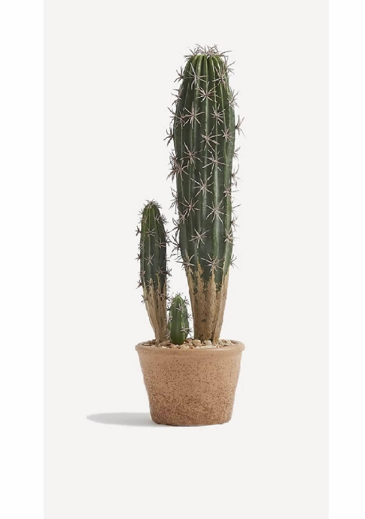 Plantas artificiales de El Corte Inglés: cactus con pinchos