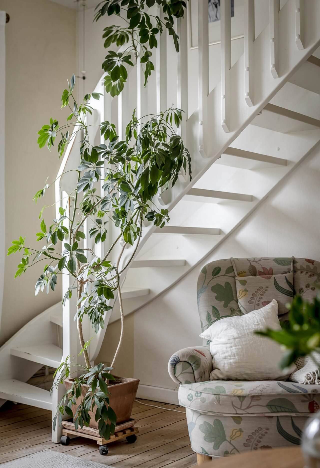 cómo decorar con plantas de interior recibidor