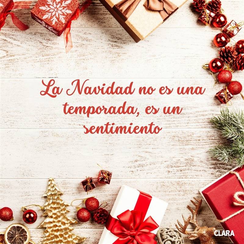 carolino Bañera Perceptivo 100 frases de Navidad bonitas para felicitar las fiestas