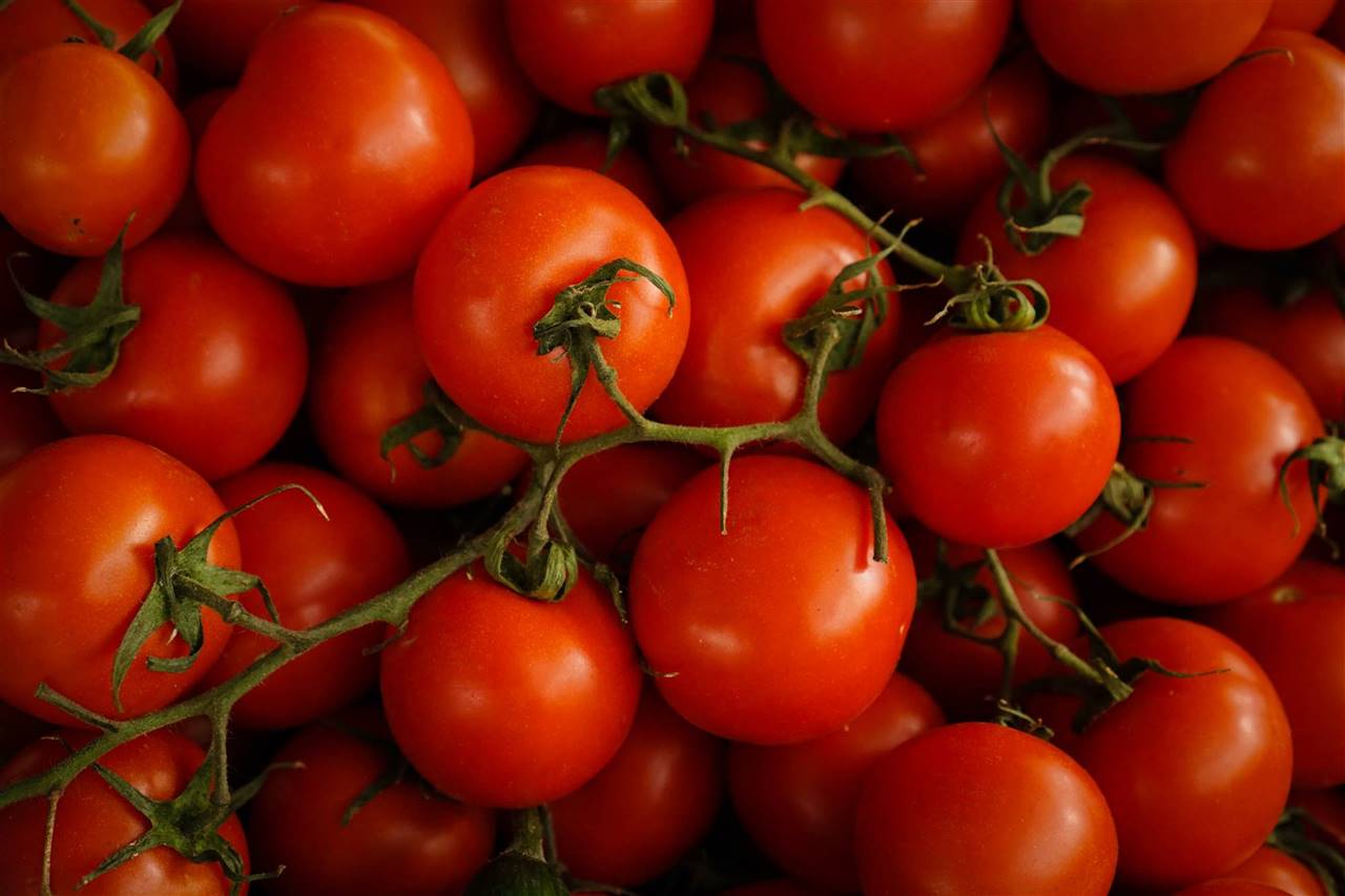 ¿Cuántas calorías tiene el tomate?