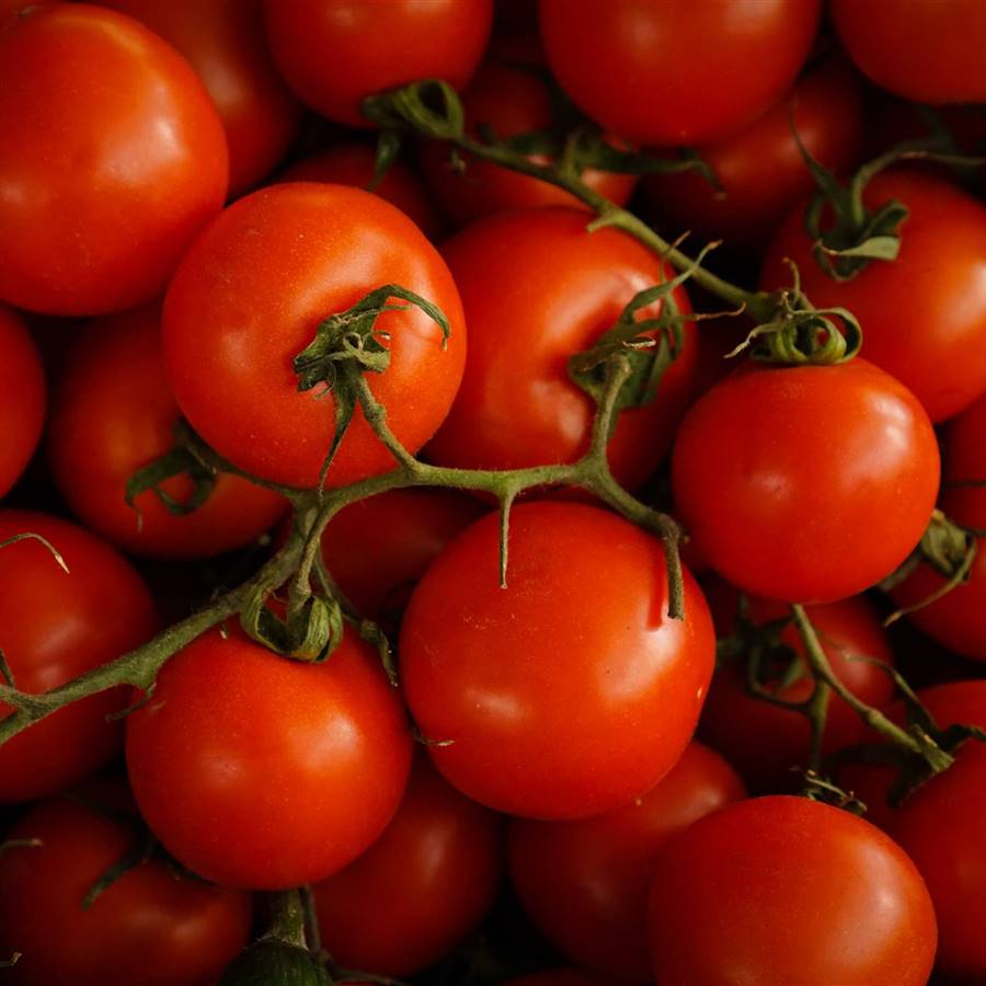¿Cuántas calorías tiene el tomate?