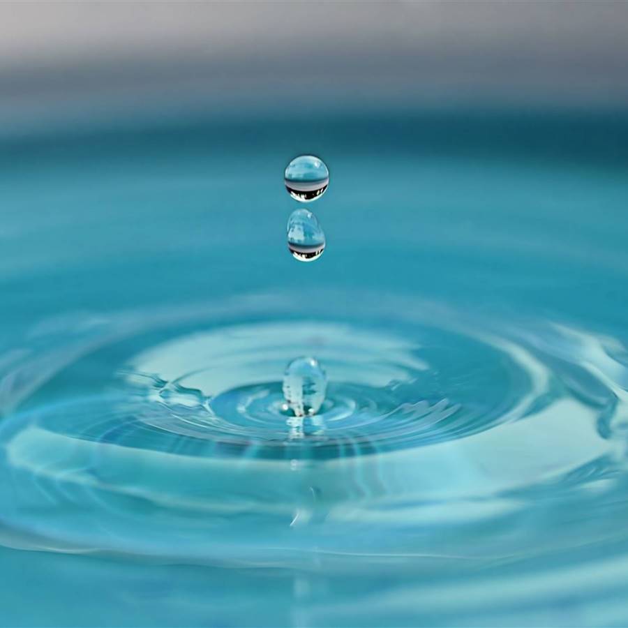 Signos de agua: ¿Cuáles son y cómo son sus características?
