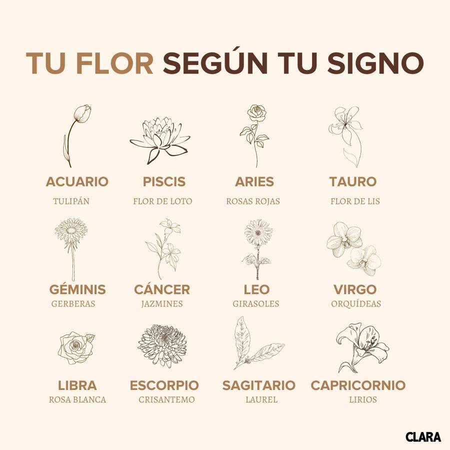 Tu flor según tu signo del zodiaco