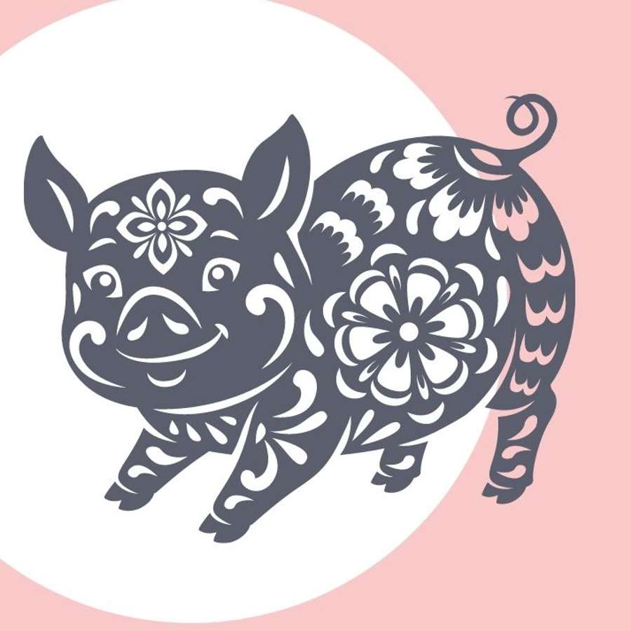 El Cerdo en el Horóscopo Chino: ¿cómo es y qué suerte tendrá en 2023?
