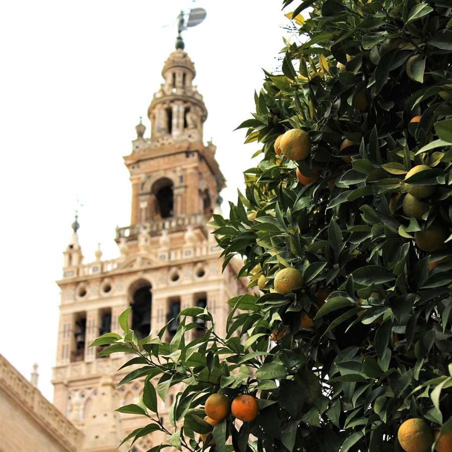 ¡Qué bonita está Sevilla en primavera! Los mejores planes para disfrutarla