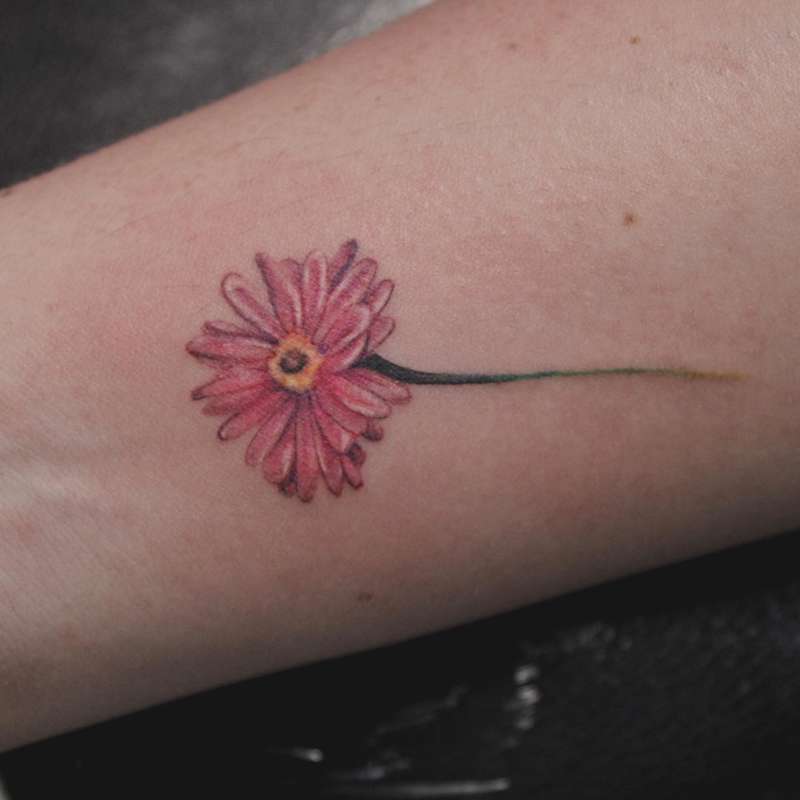 Tatuajes pequeños para mujer en el brazo: a color