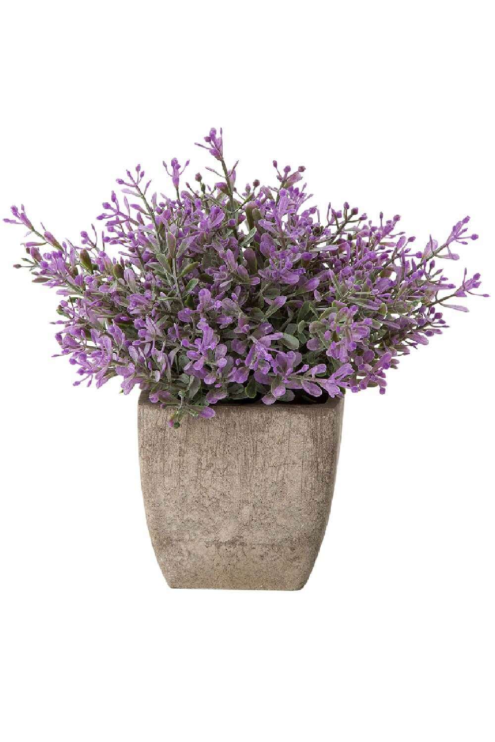 plantas con flores artificiales flores lilas