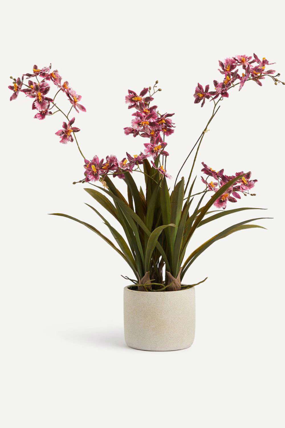 plantas con flores artificiales orquidea de color