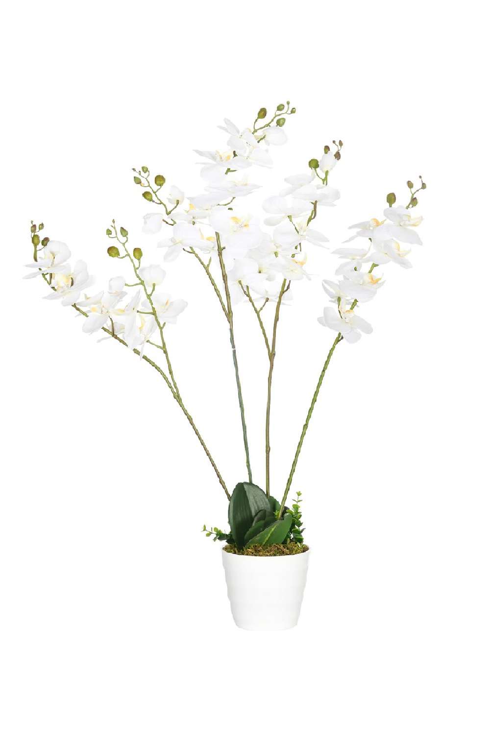 plantas con flores artificiales orquidea