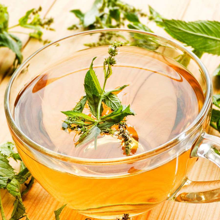 ¿Para qué sirve tomar té de menta piperita por la noche? Los nutricionistas confirman 5 beneficios para adelgazar