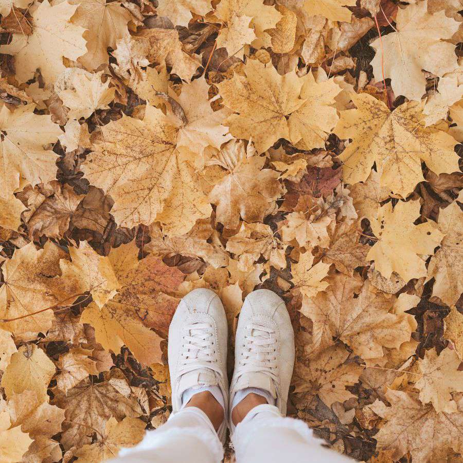 25 frases motivadoras otoño