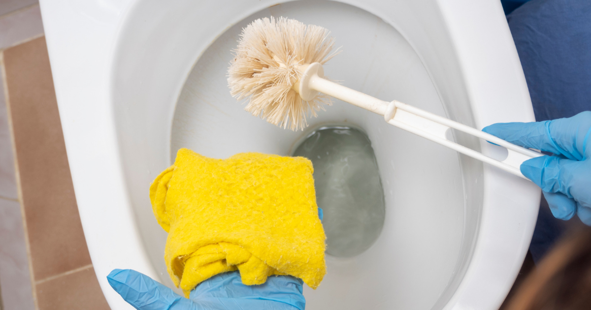 El desafío de la higiene en el cuarto de baño: la escobilla del váter