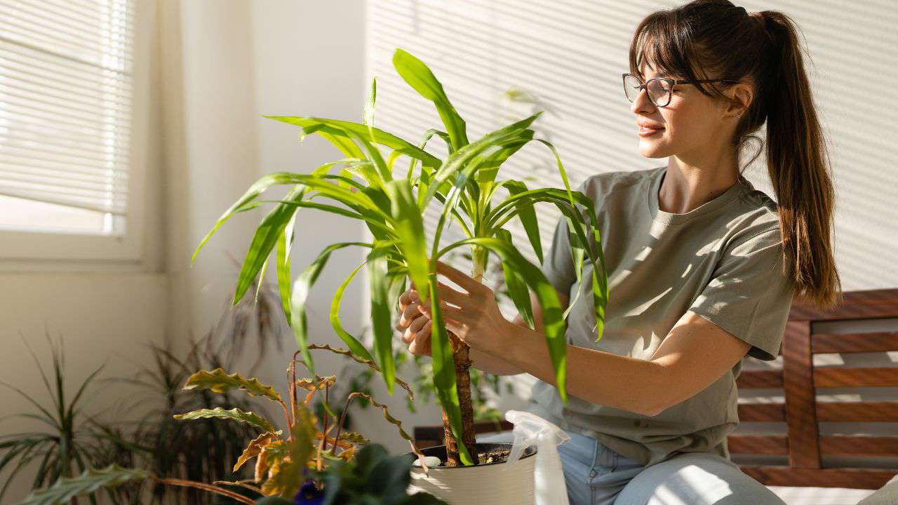 Mujer cuidando plantas